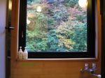 IMG_5418.JPG